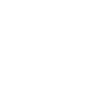 MSC white logo 2026